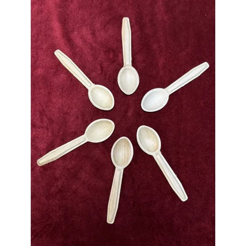 Areca Palm Leaf Spoon 5 Inch - 6 Pcs Eco Friendly Biodegradable Cutlery - Price in Bangladesh