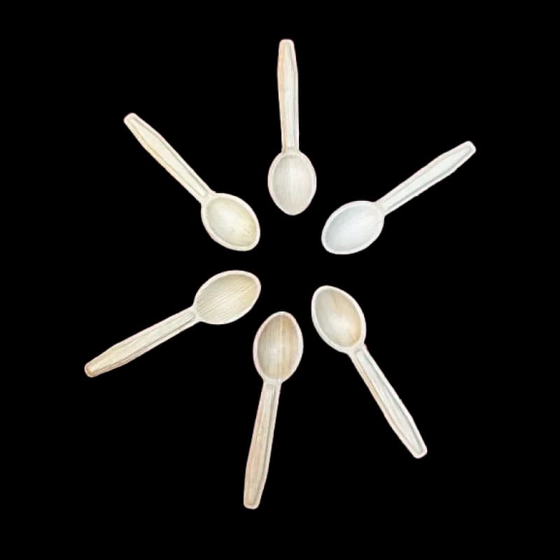 Areca Palm Leaf Spoon 5 Inch - 6 Pcs Eco Friendly Biodegradable Cutlery - Price in Bangladesh - image 2