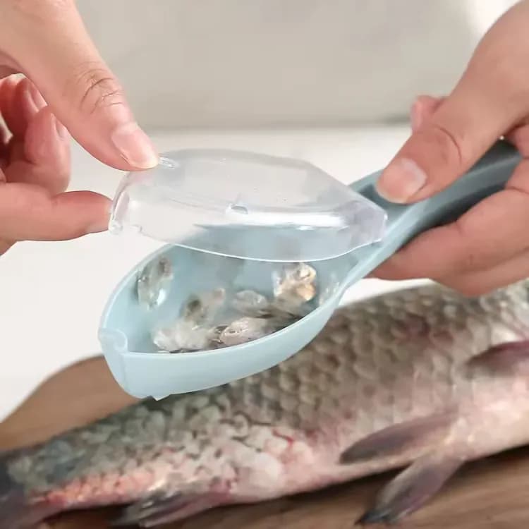 Fish Scale Remover & Skin Scraper - Manual Fish Cleaning Descaler Tool - Price in Bangladesh